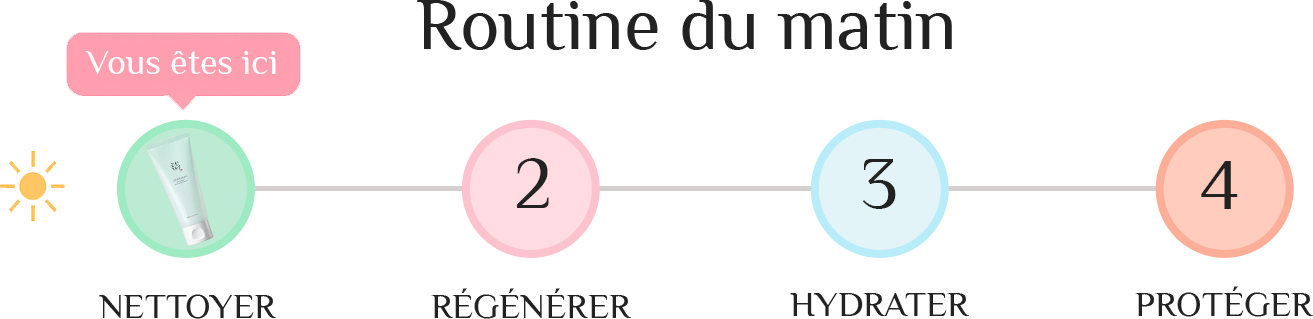 Comment intégrer le Green Plum dans votre routine du matin